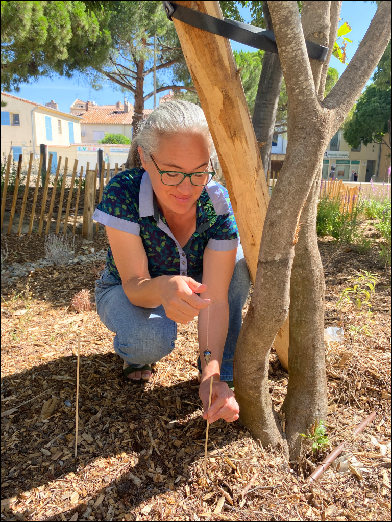 Photo de Christelle Humbertclaude qui pratique l'acupuncture végétale au pied d'un arbre avec le pendule et de spics en bois